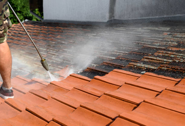 Best Sidewalk Pressure Washing  in Pine Beach, NJ