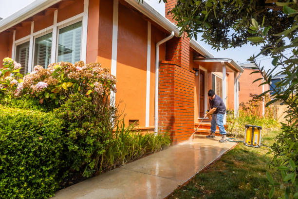 Best Pressure Washing Driveway  in Pine Beach, NJ